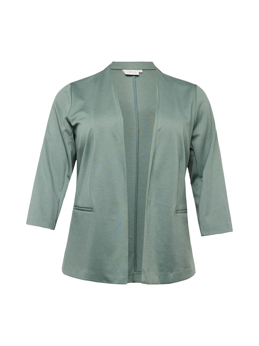 

Классический блейзер ONLY Carmakoma Blazer CARNOLAPEL, пастельный зеленый