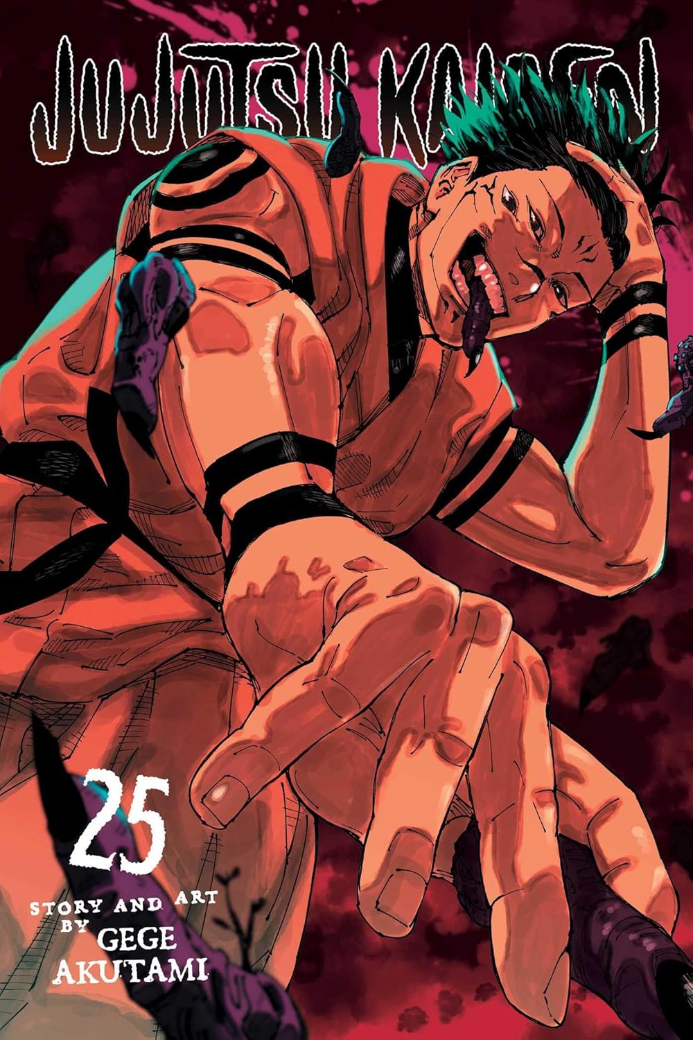

Jujutsu Kaisen, Vol. 25