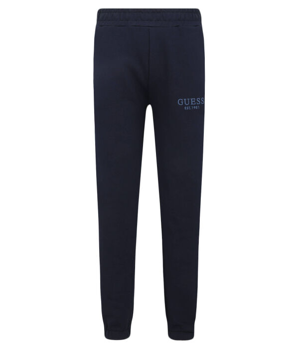 

Штаны спортивные Guess Regular Fit с логотипом, синий