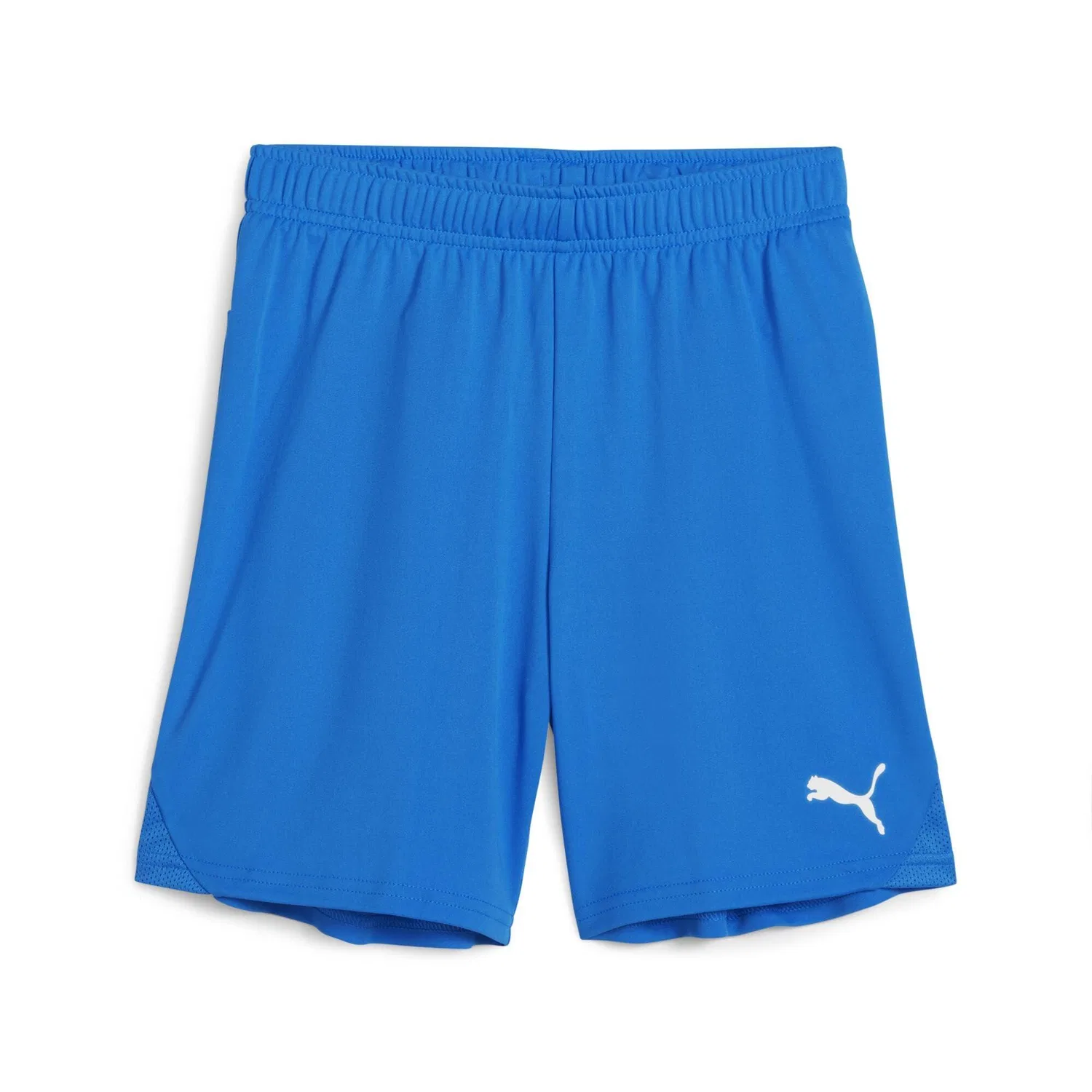 Детские игровые шорты «teamGOAL» от PUMA