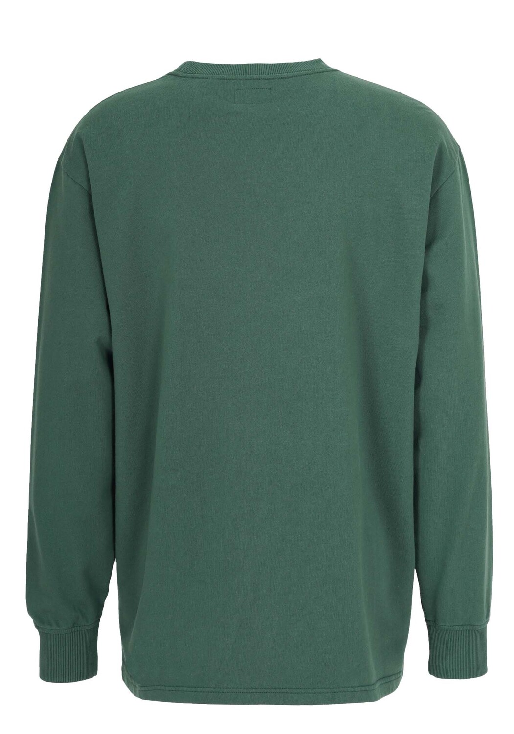 Футболка HONESTY RULES Longsleeves French Terry Signature, цвет cilantro green — фото 4
