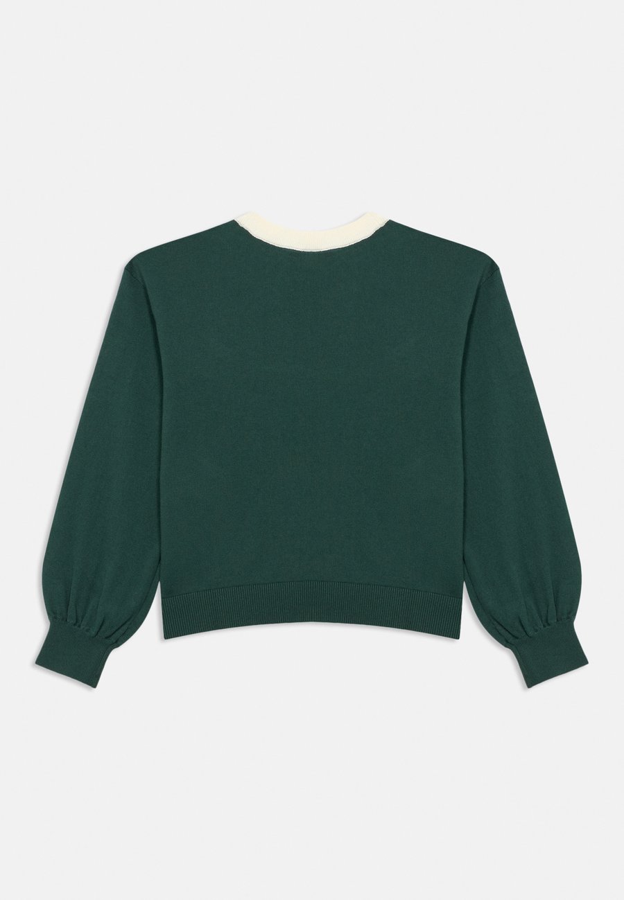 Джемпер GAP KIDS RELAXED SWEATER GIRLS, Pink/Dark Green — фото 2