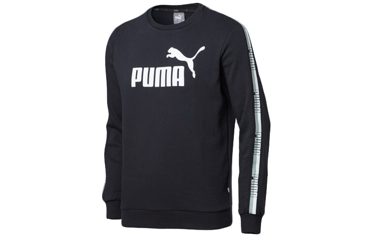 

Мужская толстовка Puma, цвет Black