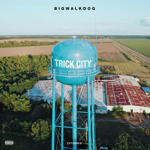 

CD диск Bigwalkdog: Trick City