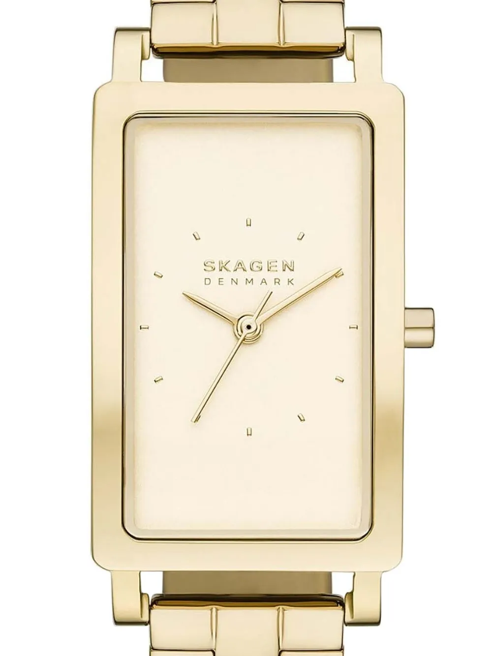 

Часы Lille 22mm Skagen, золотой