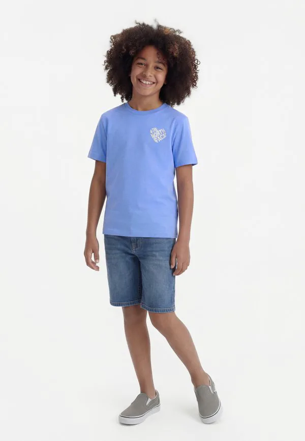Футболка с коротким рукавом и принтом, от brand proud, свободного кроя. The North Face, Periwinkle Glow