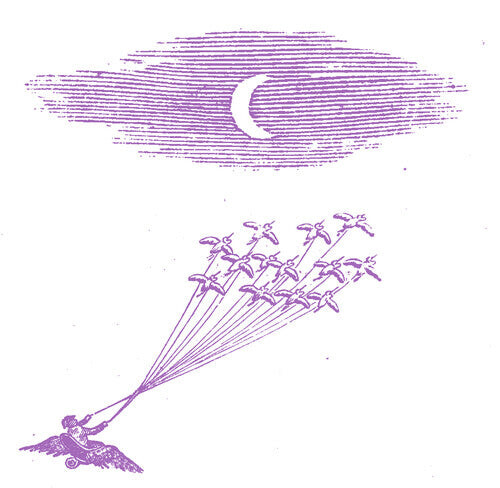 

Виниловая пластинка Feeling Figures: Migration Magic