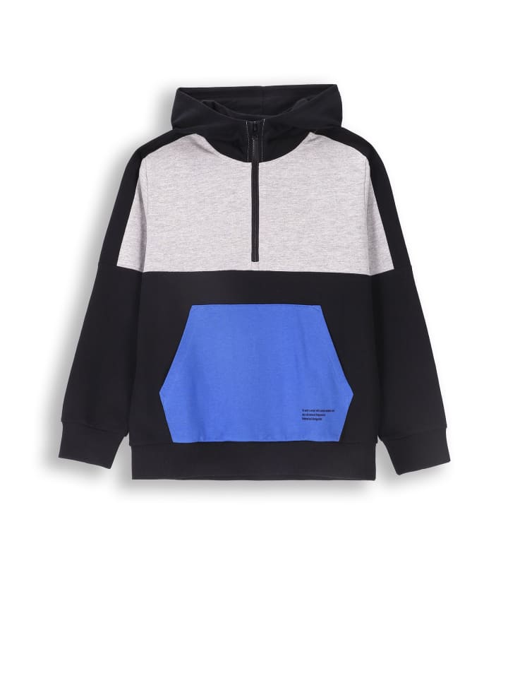 

Толстовка Coccodrillo, красочный