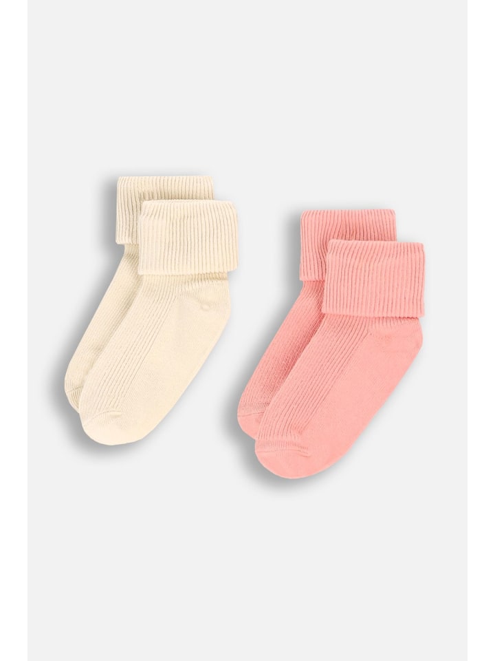 

Coccodrillo Разноцветные носки