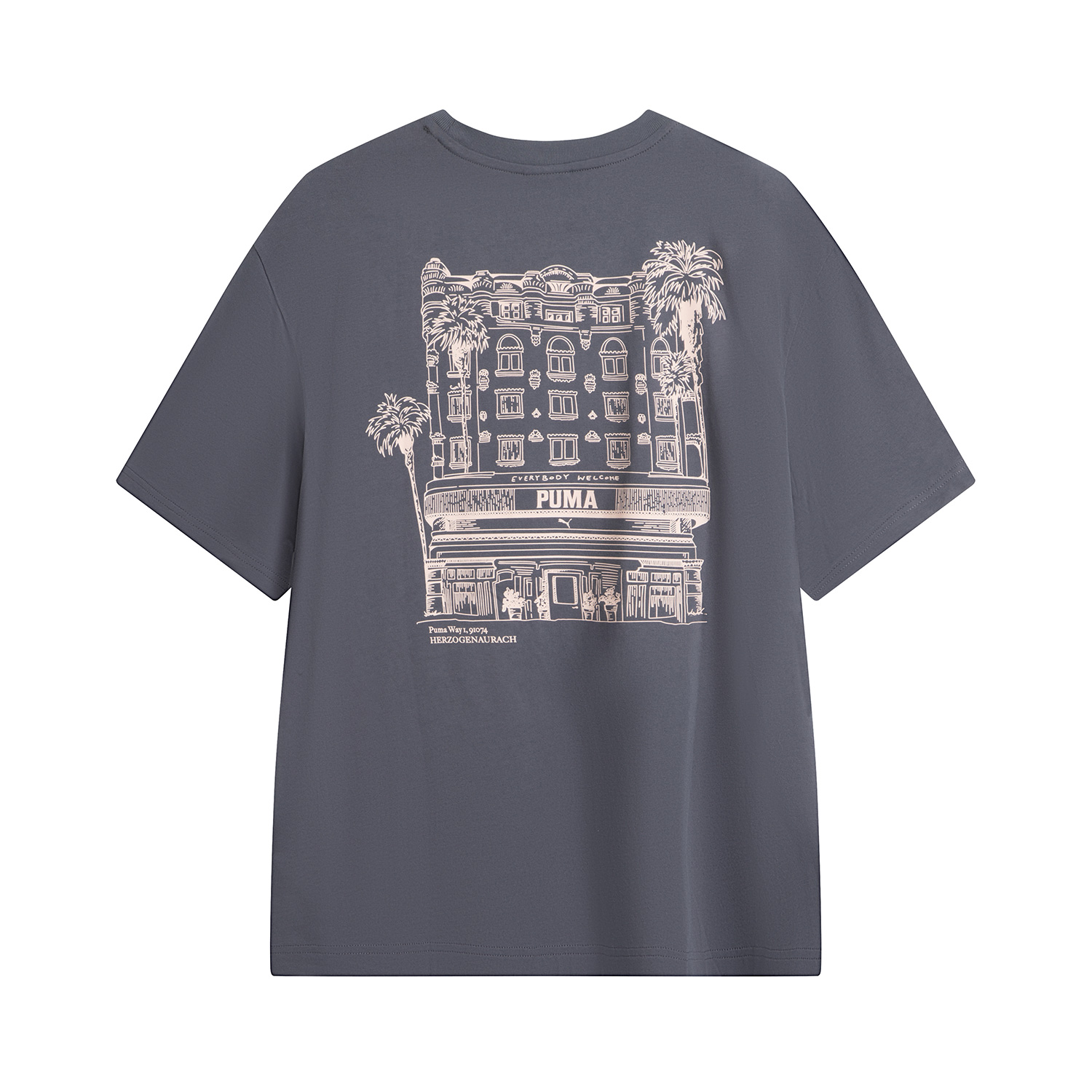 

Футболка GRAPHICS SS25 мужская gray PUMA, серый