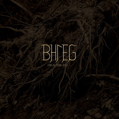 

CD диск Bhleg: Draumr Ast