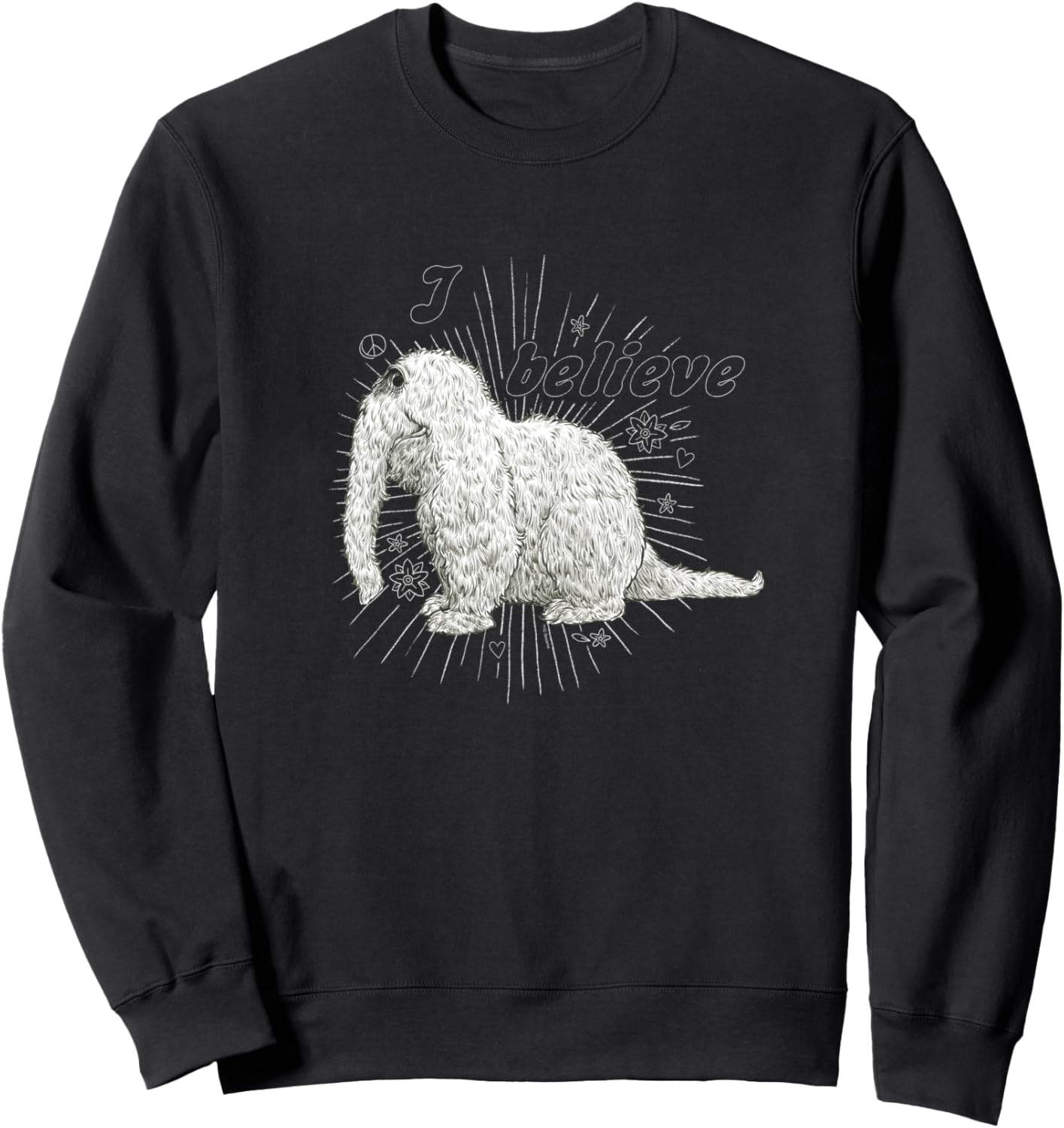 

Толстовка «Я верю» с изображением Снаффлпагуса из «Улицы Сезам» Sesame Street, черный