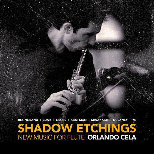 

CD диск Besingrand / Cela / Minakakis: Shadow Etchings / New Music for Flute