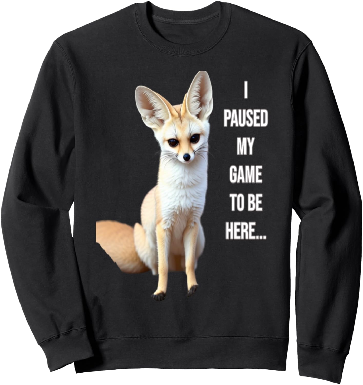 

Игра приостановлена, Толстовка с изображением фенека от PanfurWare LLC, черный