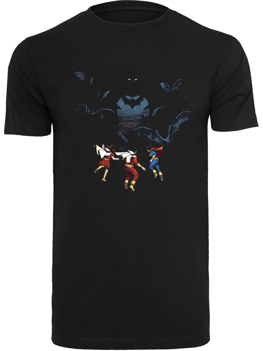 

Рубашка F4NT4STIC DC Comics Batman Shadow Bats, черный
