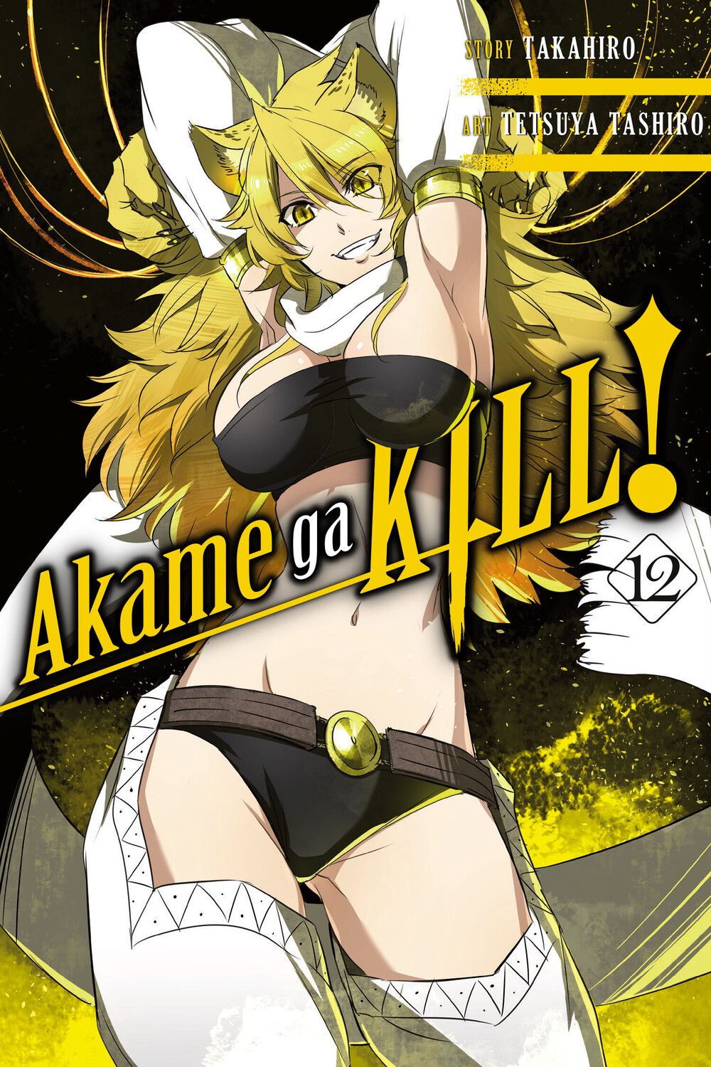 

Манга Akame ga KILL! Manga Volume 12