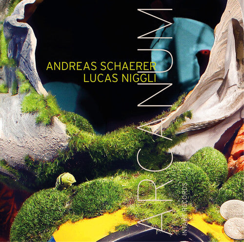 

CD диск Schaerer / Niggli: Arcanum