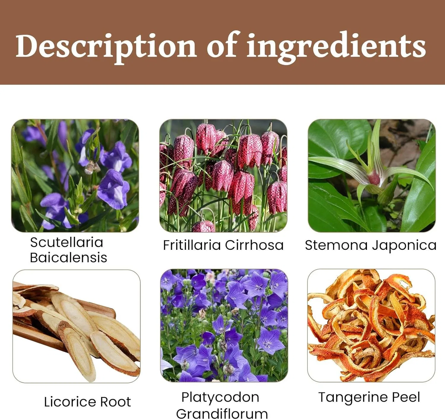 Лосьон для загара Flower Tani Care 30 г — фото 2
