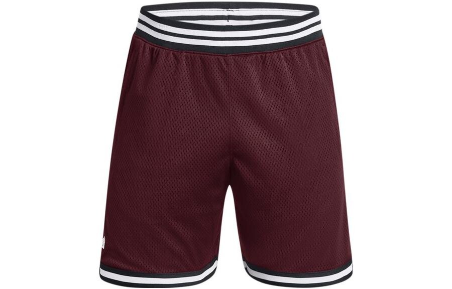 

Мужские баскетбольные шорты Under Armour, цвет Chestnut