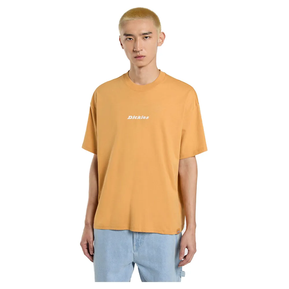 

Футболка с коротким рукавом Dickies Enterprise, оранжевый