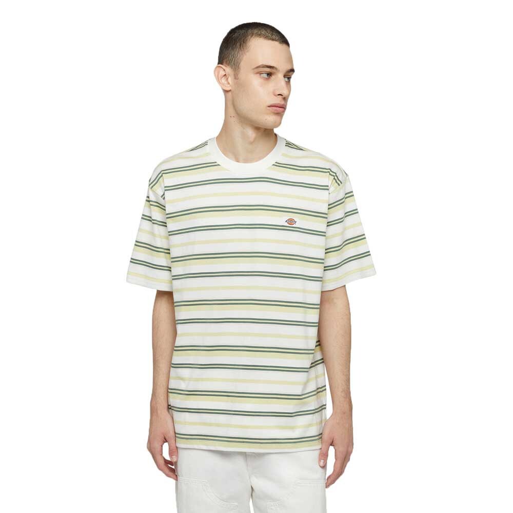 

Футболка с коротким рукавом Dickies Glade Spring, бежевый