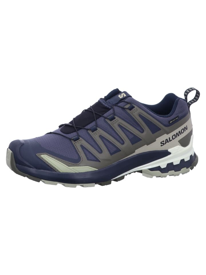 

Кроссовки SALOMON Sport Schuhe XA PRO 3D V9 GTX, синий
