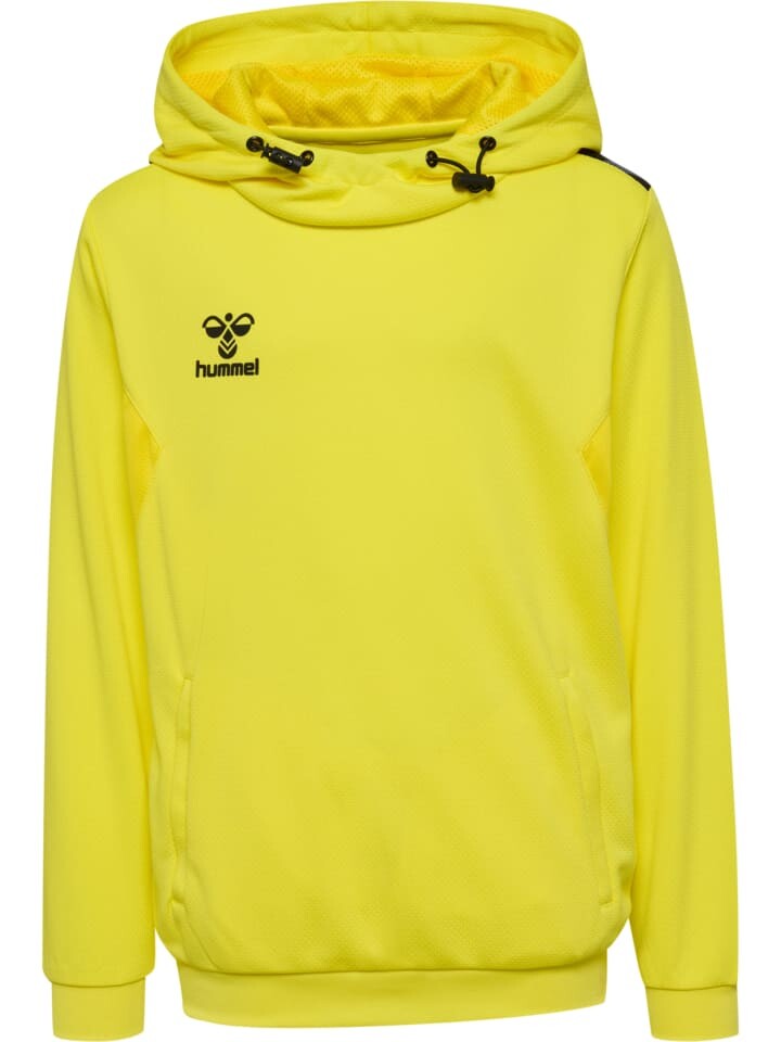 

Худи Hummel Hmlauthentic Multisport Kinder, цвет blazing yellow