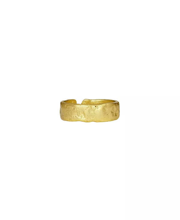 

Кольцо Dela с текстурированной полосой Ottoman Hands, gold