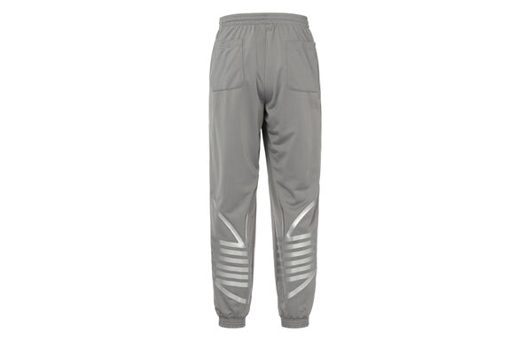 Спортивные штаны adidas originals Metallic Track Pants Logo Sports Pants Gray, серый — фото 3