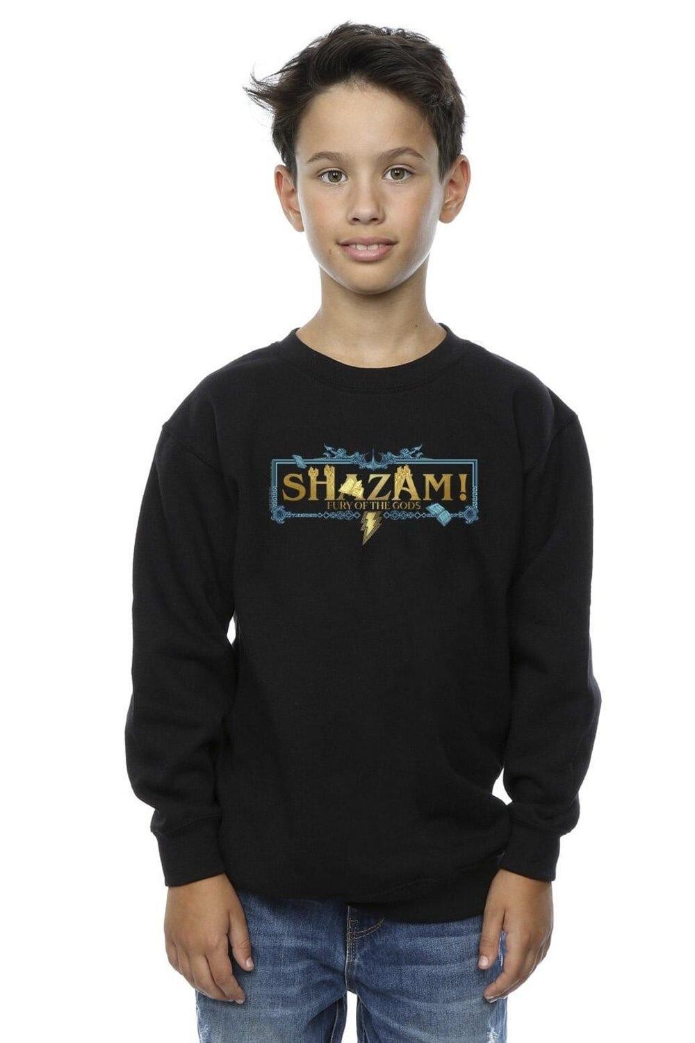 

Толстовка с золотым логотипом Shazam Fury Of The Gods DC Comics, черный