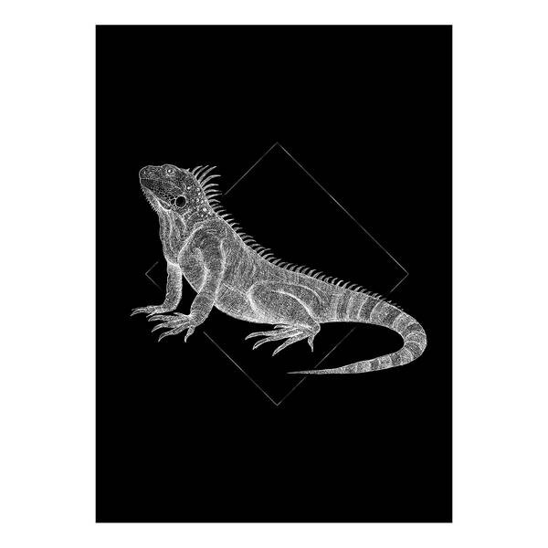 

Фреска Komar Iguana Black, черно-белый