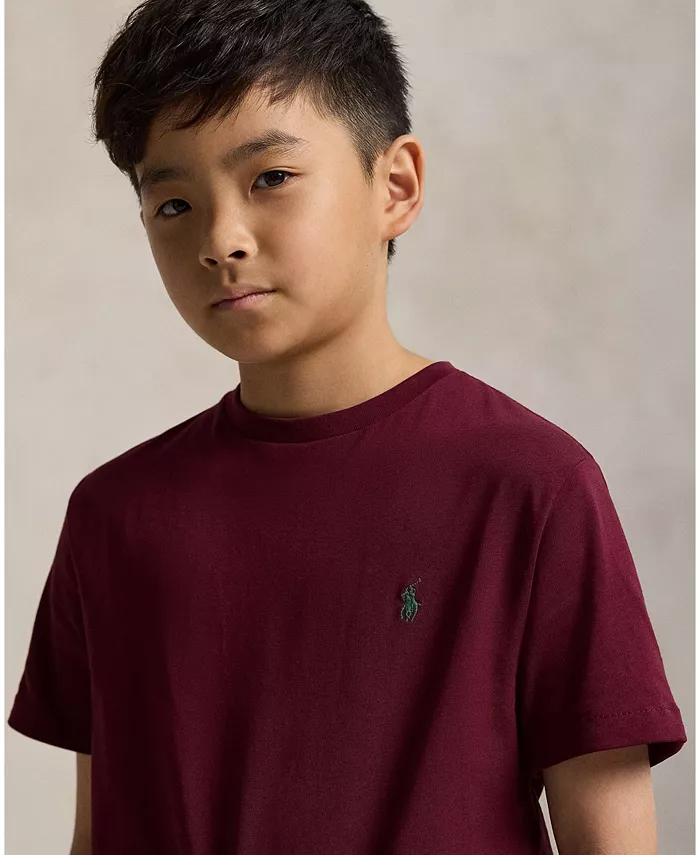 

Футболка Big Boys Cotton Jersey с круглым вырезом Polo Ralph Lauren, фиолетовый