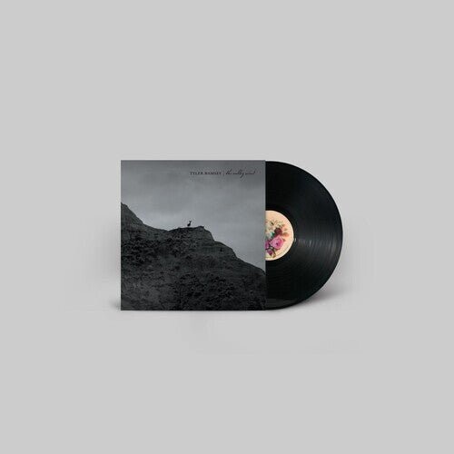 

Виниловая пластинка Ramsey, Tyler - Valley Wind