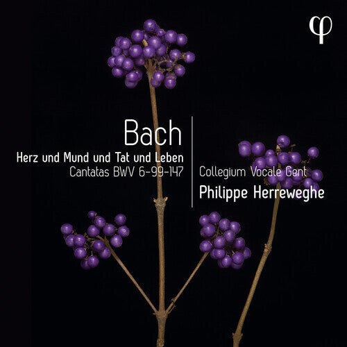 

CD диск Bach, J.S. / Herreweghe: Erz Und Mund Und Tat Und Leben - Cantatas, BWV
