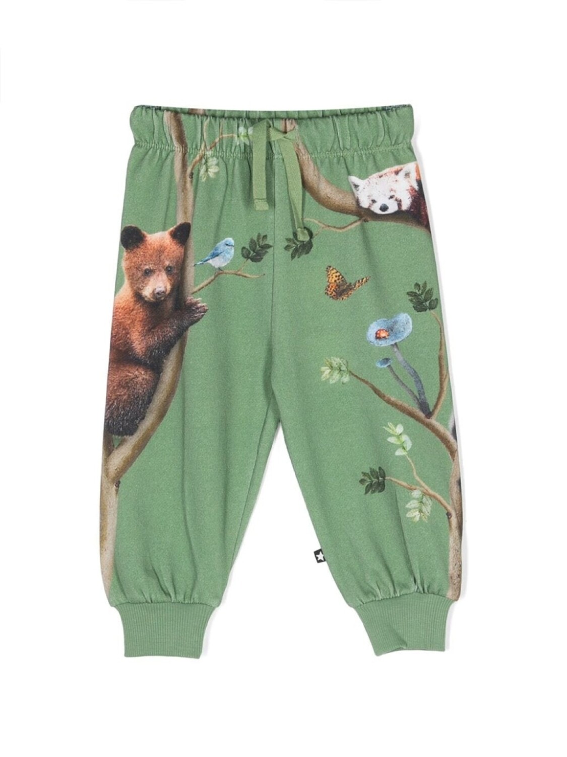 

Спортивные брюки Animal Living Molo, зеленый