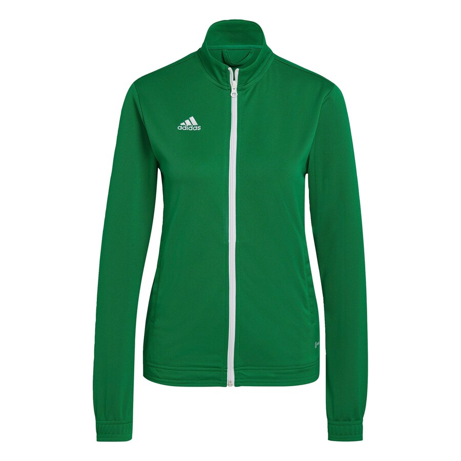 

Спортивная толстовка с капюшоном на молнии ADIDAS PERFORMANCE ENT22, зеленый