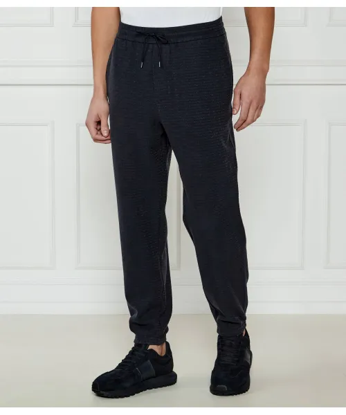 

Спортивные штаны Regular fit Emporio Armani, синий