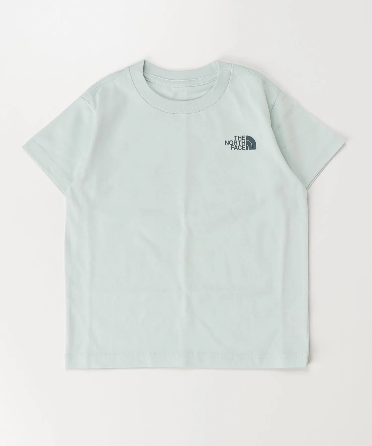 Детская футболка THE NORTH FACE с принтом Shiretoko Toko Tee зелёная