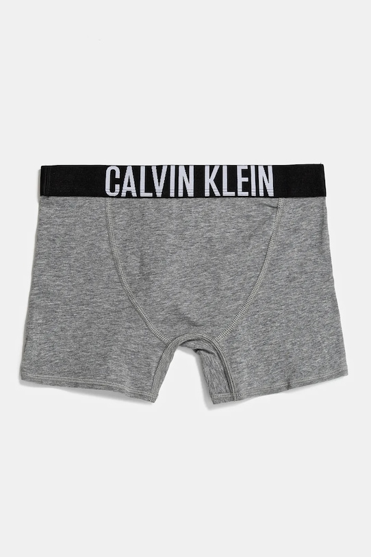 Детские боксеры из двух пар Calvin Klein Underwear, черный — фото 3