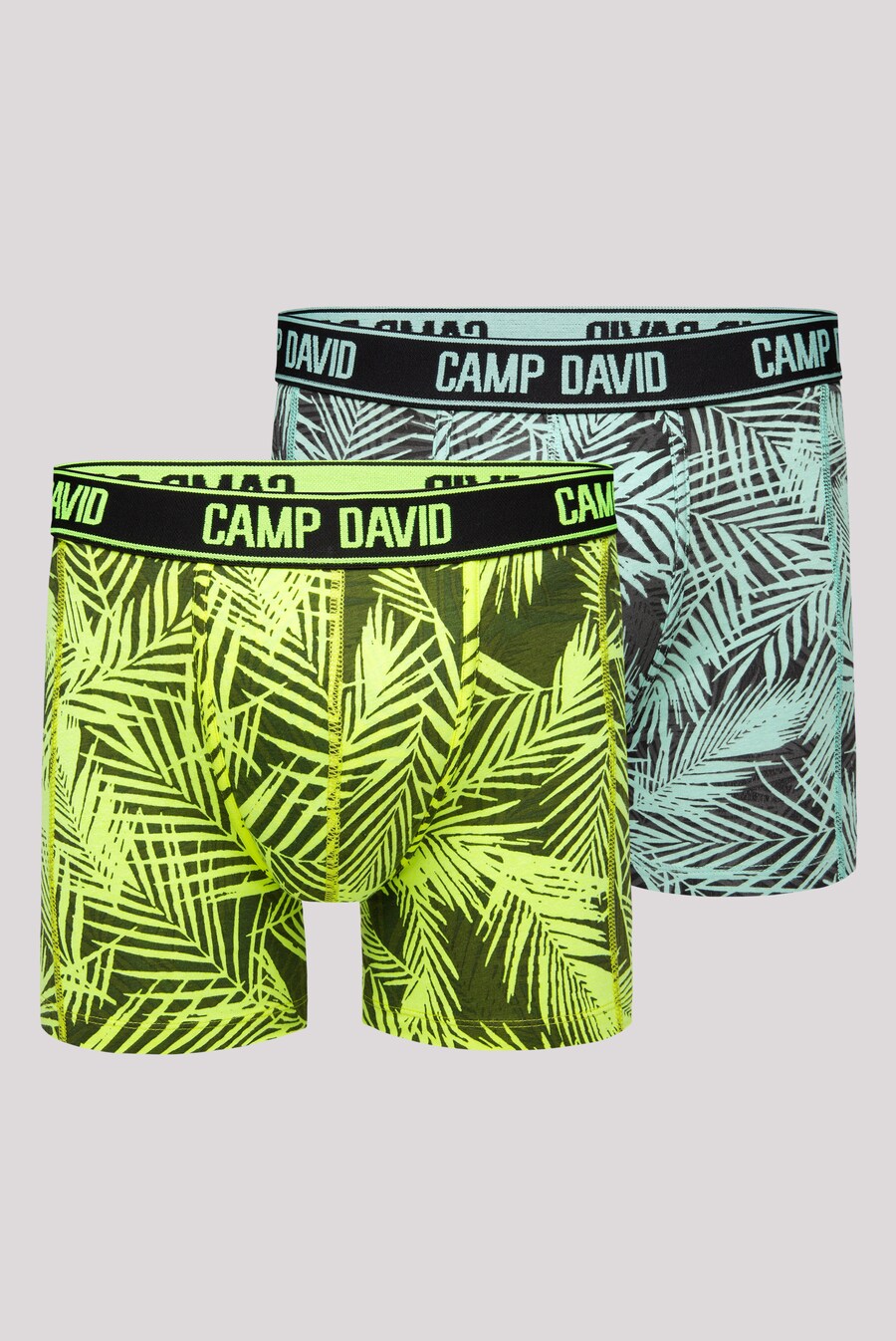 

Боксеры CAMP DAVID, разноцветный