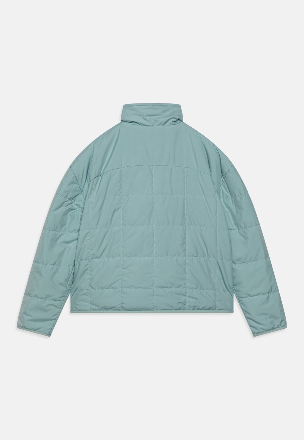 

Зимняя куртка REVERSIBLE SHASTA UNISEX The North Face, зеленый