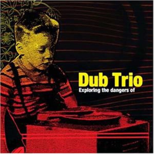 

Виниловая пластинка Dub Trio: Exploring the Dangers of