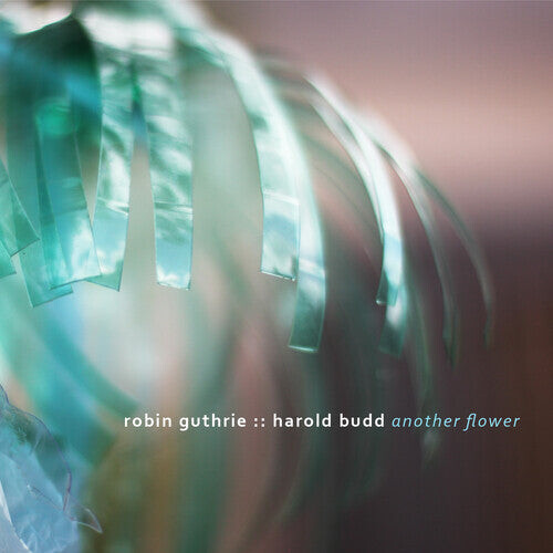 

CD диск Guthrie, Robin / Budd, Harold: Another Flower