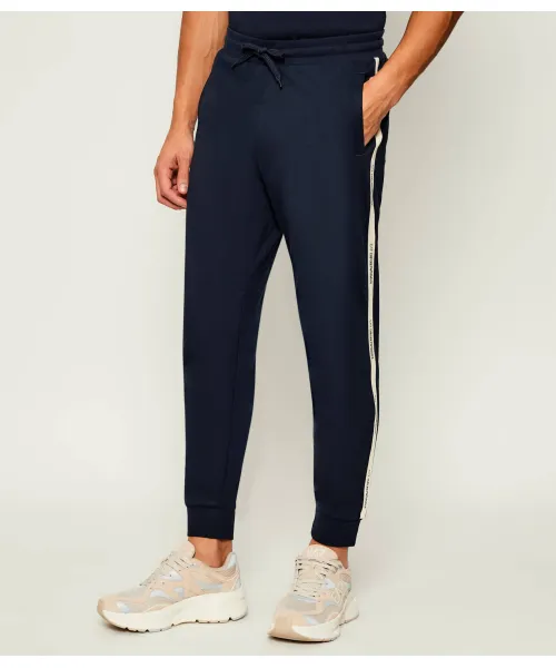 

Спортивные штаны Regular fit Ea7, синий