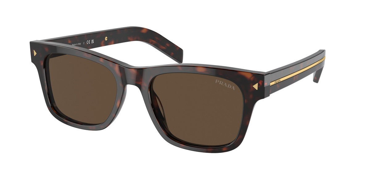

Мужские солнцезащитные очки PR A17S PRADA, radica tortoise