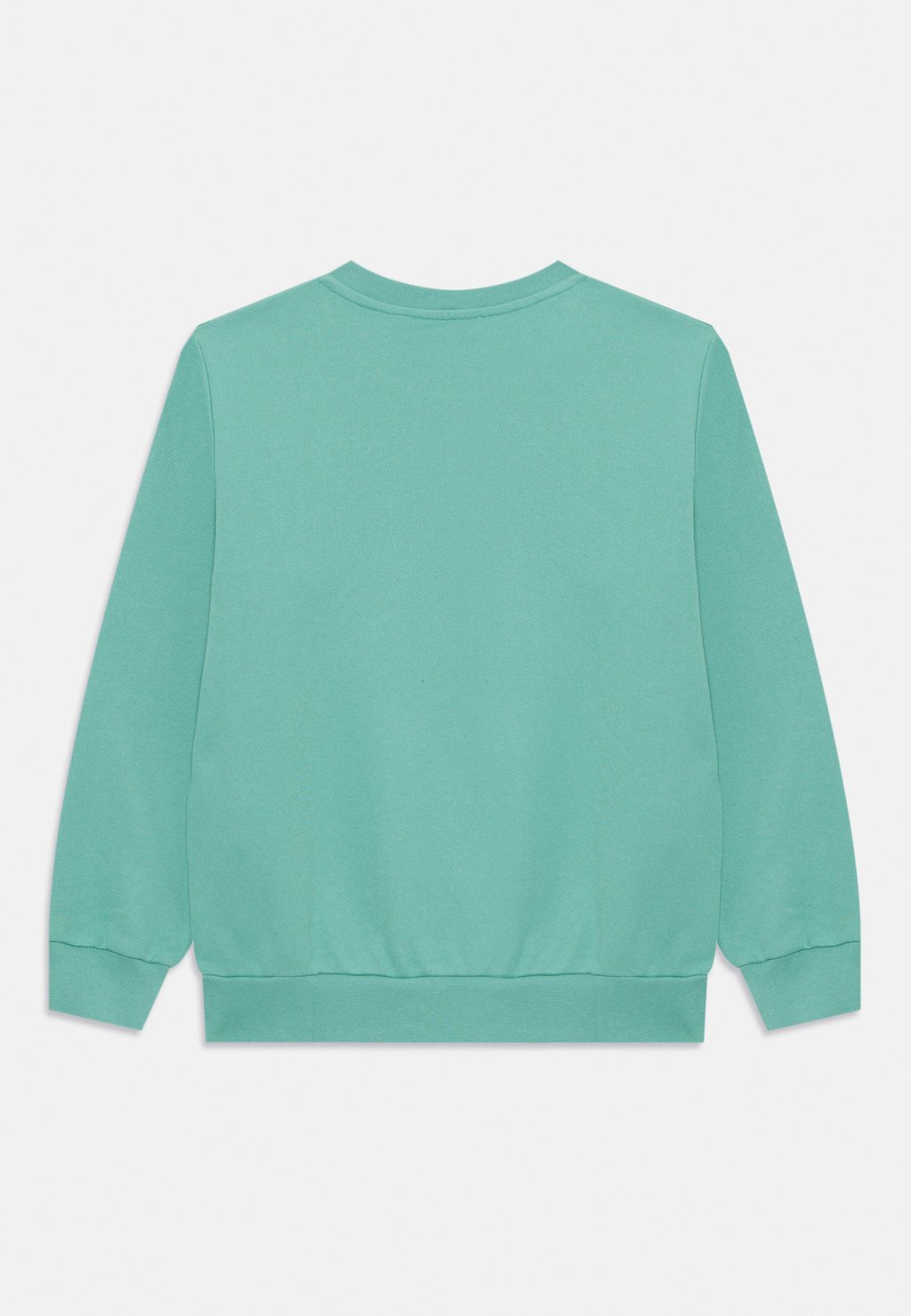 Толстовка LA MEDUSA VARSITY PRINT UNISEX Versace, зеленый — фото 2