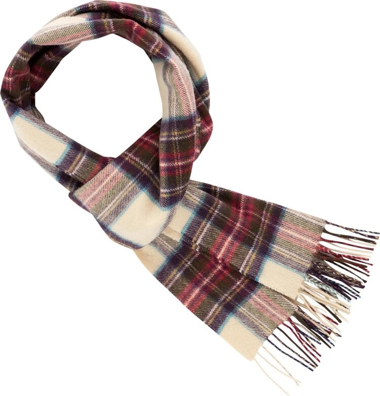 

Шарф Aimé Leon Dore Tartan Cashmere 'Royal Stewart', разноцветный