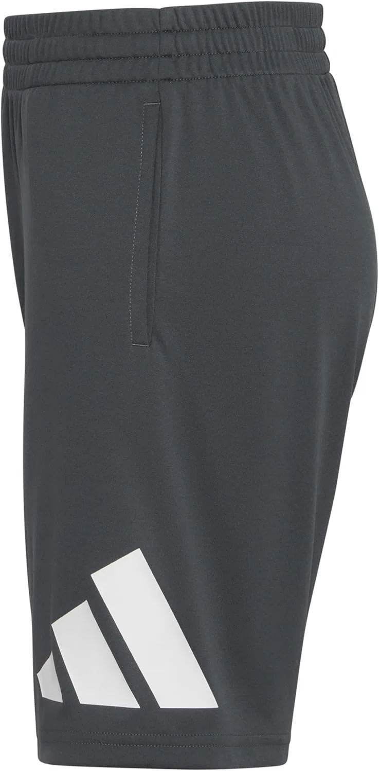 Детские спортивные шорты Adidas Essentials с большим логотипом, Grey Six — фото 3