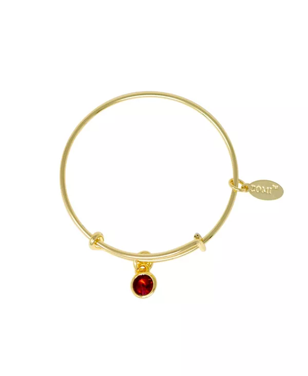 

Браслет с камнями, соответствующими дате рождения, для детей Zomi Gems, january