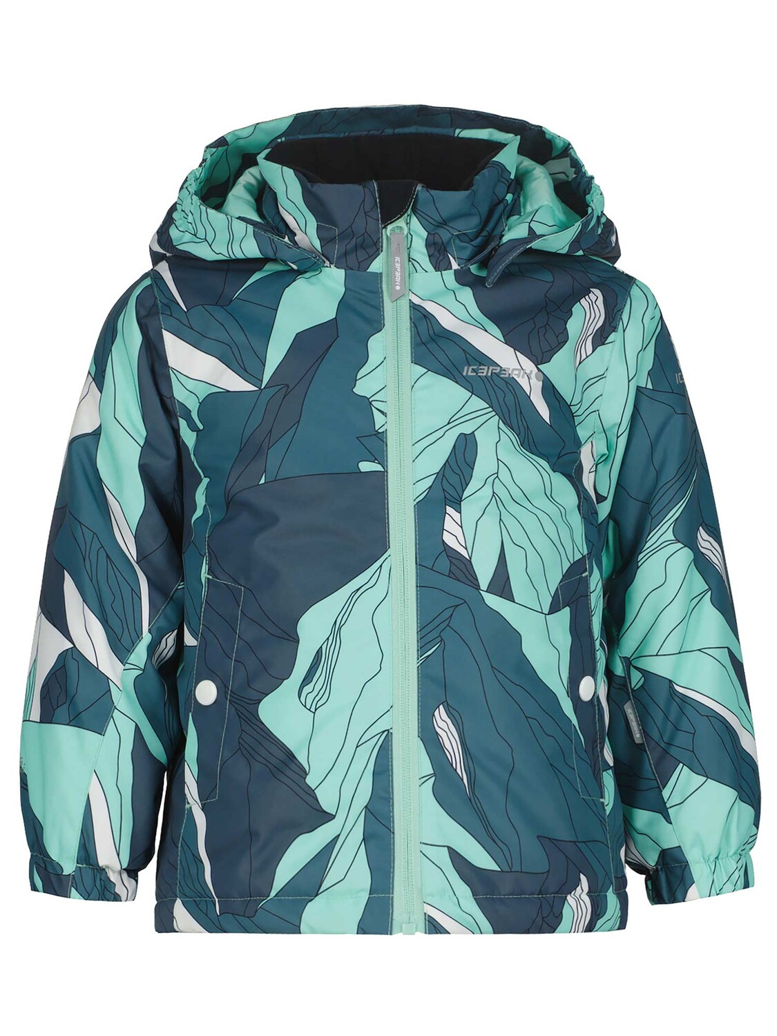 

Лыжная куртка Icepeak JAPERI KD, синий